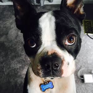 Meet your Posher, Joshua